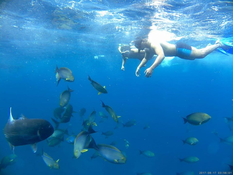 wisata bawah laut nusa penida